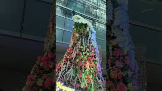 Decoration at Indra gandi Delhi international airport terminal3 checkitout diwalispecial 🤩 [upl. by Nanah]