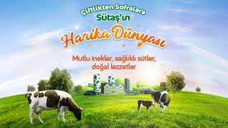 Çiftlikten Sofralara Sütaş’ın Harika Dünyası [upl. by Nnaesor]