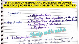 Lower metazoapattern of feeding and digestion in porifera and coelentrata notes amp explanation MSC [upl. by Helprin]