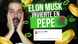 SI NO LLEVAS LA MEMECOIN PEPE ESTÁS PERDIDO EN EL BULLRUN  ELON MUSK [upl. by Youngran]