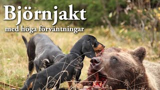 Jaktresan Björnjakt med höga förväntningar [upl. by Llirrehs]