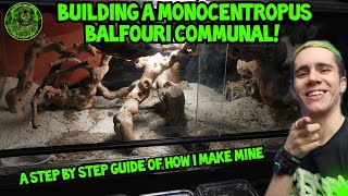 Building a big Monocentropus Balfouri TARANTULA COMMUNAL TANK GUIDE [upl. by Iiette]