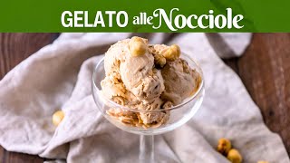 GELATO ALLE NOCCIOLE la Ricetta Facile di BuonIdea [upl. by Emixam635]