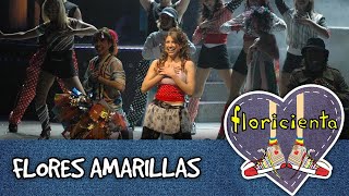 Floricienta Flores Amarillas en vivo en el teatro 2005 [upl. by Fonz]