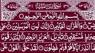 Surah Yaseen Surah Rahman  Quran Recitation  Surah Yasin Full  So Beautiful Quran Tilawat [upl. by Roseann464]