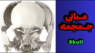 مبانی جمجمهskull [upl. by Spracklen623]