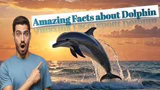 Amazing Facts about Dolphin 🐬😀। Dolphin। English। 2024। viralvideo dolphin [upl. by Acirt]