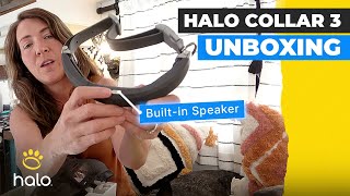 RVing Never Lose Your Dog Again Halo Collar Unboxing amp First Look CalledToWander [upl. by Eromle]