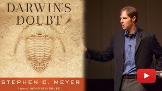 Dr Stephen C Meyer PhD talks about the Case for Intelligent Design [upl. by Sauls]