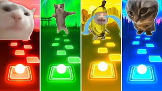 Vibing Cat vs Happy Cat vs Banana Cat vs Chipi Chipi Chapa Chapa Cat  Tiles Hop EDM Rush [upl. by Chema392]