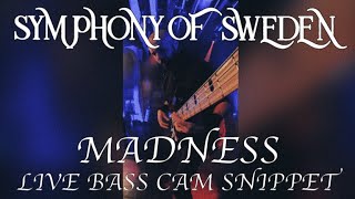 SYMPHONY OF SWEDEN  MADNESS LIVE BASS CAM SNIPPET [upl. by Apple302]