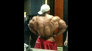 Roelly Winklaar Back Training Compilation  World Bodybuilder Workout [upl. by Odanref]