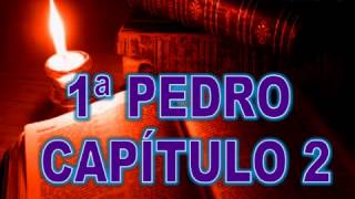 1º Epístola De Pedro  Biblia Hablada  Versión Reina Valera  Completo [upl. by Slrahc864]