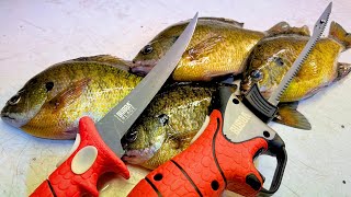 3 Ways to Fillet a Bluegill That Every Panfish Angler Should Know [upl. by Rolyat740]