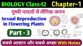 Microsporogenesis amp Microspore Structure  12th biology sexual reproduction in flowering plant [upl. by Kcirdorb]