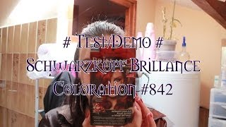 Méliane  TestDémo Schwarzkopf Brillance Coloration 842 [upl. by Drallim]