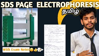 SDS PAGEtamilpolyacrylamide gel electrophoresisNotesDefinitionprincipleProcedureworkinguses [upl. by Sirovat]