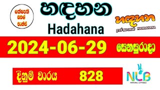 Hadahana Today 828  20240629  Lottery Result NLB  hadahana [upl. by Lexie789]