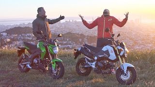 Honda Grom amp Kawasaki Z125 Pro In San Francisco  ON TWO WHEELS [upl. by Moreland684]