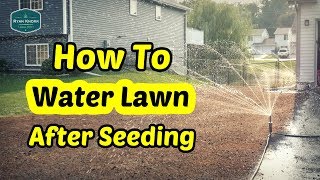 How To Water Your Lawn After Seeding [upl. by Suiram]