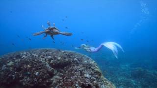 Real live mermaid swimming with a Sea Turtle [upl. by Adorl797]