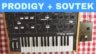 MOOG PRODIGY  SOVTEK EHX SMALL STONE  Will They Pair Ep19 [upl. by Cramer]