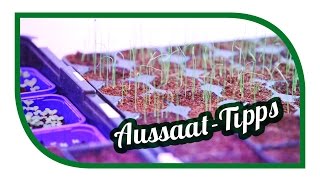 Aussaat amp Gartentipps im Januar 🌱 Jungpflanzenanzucht im Januar 🌱 Selbstversorgung [upl. by Calendre]