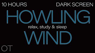 HOWLING WIND Sounds for Sleeping Relaxing Studying BLACK SCREEN Real Storm Sounds 10 HOURS [upl. by Jason]