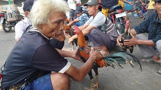 sekedar HOBY dolan pasar Klaten [upl. by Goldstein]