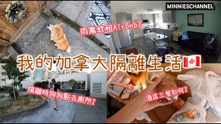 移加迷你－我的隔離生活1 酒店隔離狗狗點去廁所 三餐質素如何 兩萬港幣租兩星期嘅Airbnb｜minnieschannel [upl. by Sillsby197]