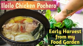 Vlog 004 Chicken Pochero ng Iloilo  Ilonggo Dish  Early Harvest from My Food Garden [upl. by Nahgrom]