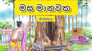 මඝ මානවක කතාව  maga manawaka jathakaya sinhala  ජාතක කතා  jathaka katha sinhala  jathaka katha [upl. by Attenyl723]