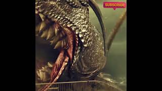 Giant shark to attack humans । BB MEDIA18ENT short [upl. by Angrist]