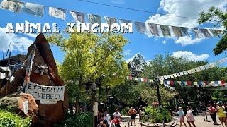 Walt Disney World  Animal KingdomWorld of PandoraNavi River Journey  2024 [upl. by Ahsel797]