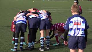 Sale Sharks U10s Festival of Rugby  20th October 2018  Wirral v Winnington Park [upl. by Itsyrk]