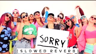 Justin Bieber  sorry song  Justin Bieber slowed reverb song  Justin Bieber new song [upl. by Witt]