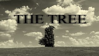 quotThe Treequot  Creepypasta [upl. by Harper]