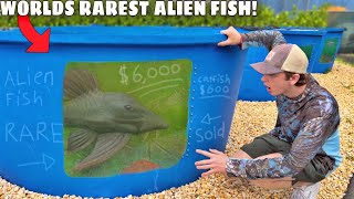 I Bought the World’s RAREST Alien Fish [upl. by Nue103]