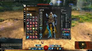 Gw2 Gardien core pve 2024 [upl. by Nosaes]