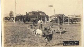 History of McAllen 19111920 [upl. by Felic117]