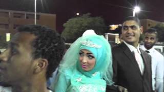 🇪🇬 Take a glimpse on Nubian Egyptians Wedding Reception  Aswan Egypt [upl. by Wootan]