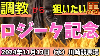 【ロジータ記念 2024】どの馬からでも入れそうも…調教から推したい馬はこちら【競馬予想】 [upl. by Schreib]