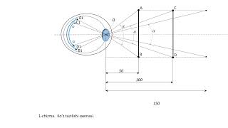 1 chizma Ko’z tuzilishi sxemasi [upl. by Armilla]
