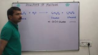 Structure of maltose [upl. by Ahserkal]