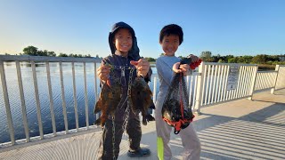 BluegillPanfish Fishing at Willow Hill Reservoir 5222024 [upl. by Lebisor]