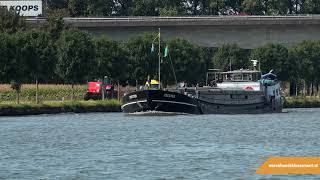 Binnenvaartschip Zeester op het Amsterdam Rijnkanaal  Binnenvaart [upl. by Aihsatal]