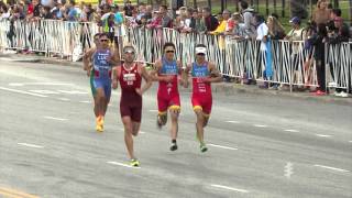 2015 ITU World Triathlon Chicago  Elite Mens Highlights [upl. by Aynosal]