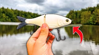 Spring GLIDEBAIT Fishing for Big Bass 1 HOUR UNCUT [upl. by Myna352]