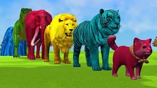 10 animals water fountain game  colorfull animals game  ASMR animal videos [upl. by Ldnek]