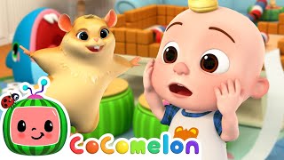 Hamster Race and Escape  Play with CoComelon  CoComelon Nursery Rhymes amp Kids Songs [upl. by Rengia]